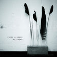 Poppy Ackroyd - Feathers (CD) - Velvet Music