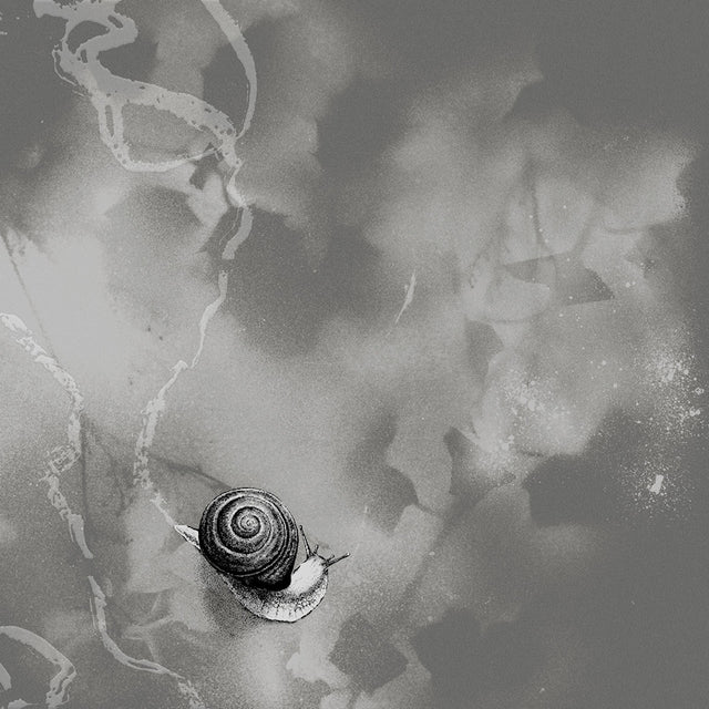 Rats On Rafts - Deep below (grey) (LP) - Velvet Music