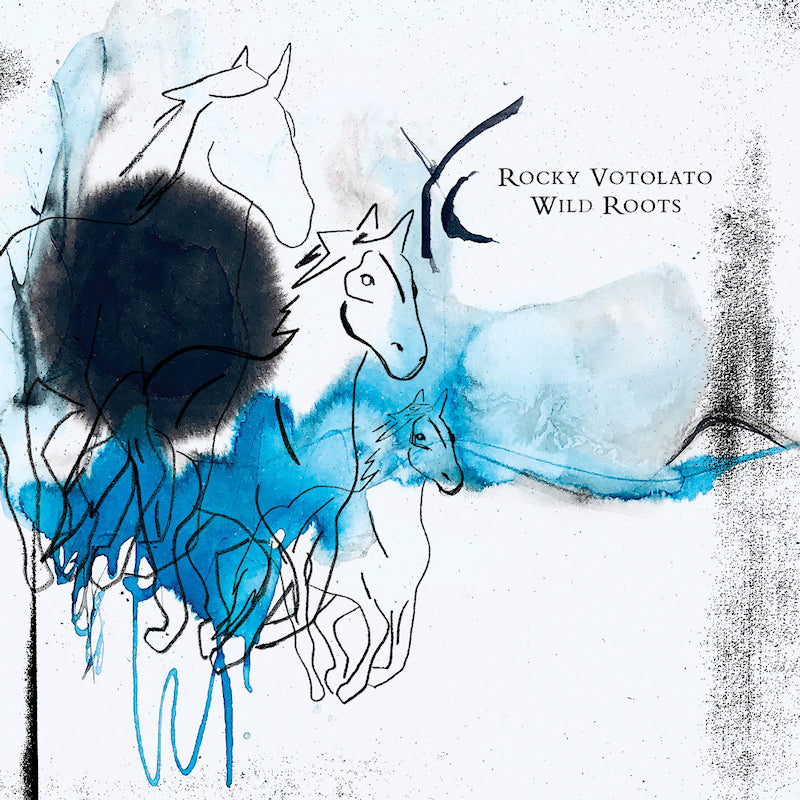 Rocky Votolato - Wild roots (CD) - Velvet Music