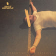 Saint Raymond - We forgot we were dreaming (LP) - Velvet Music