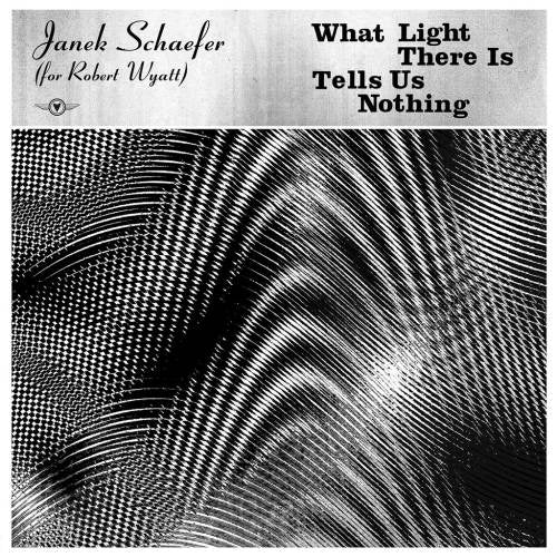 Janek Schaefer - What light there is tells us nothing (LP)