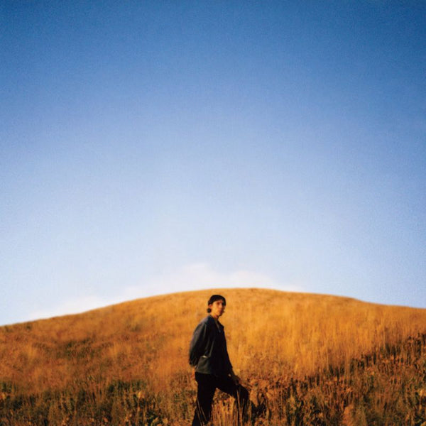 Sam Burton - Dear departed (LP) - Velvet Music