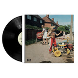 Sam Morton - Daffodils & dirt (LP) - Velvet Music