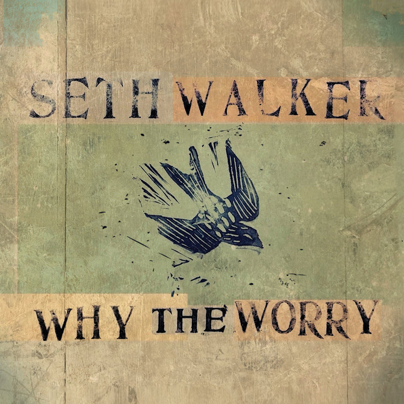 Seth Walker (3) - Why The Worry (CD) - Velvet Music