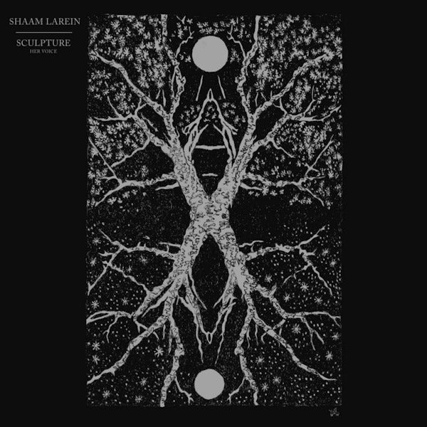 Shaam Larein - Sculpture (LP) - Velvet Music