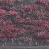 Sleep Token - Even in arcadia (LP) - Velvet Music