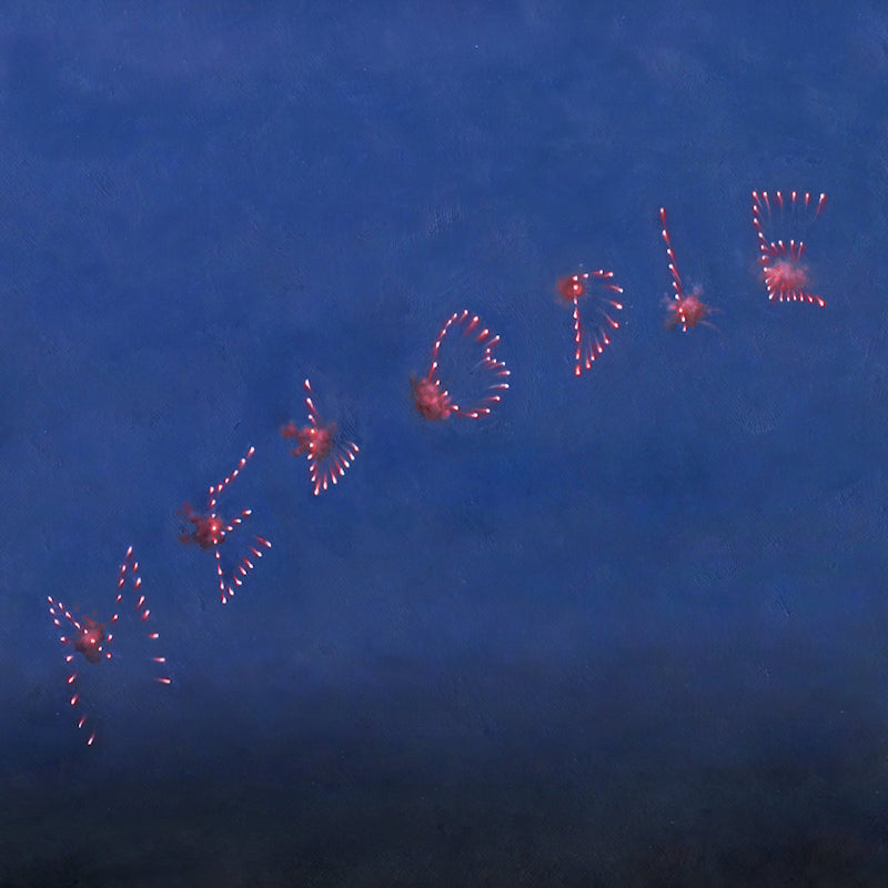 Slow Pulp - Melodie (LP) - Velvet Music