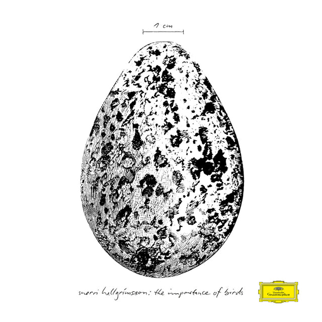 Snorri Hallgrímsson - The importance of birds (LP) - Velvet Music