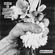 Softcult - When a flower doesn't grow (LP) - Velvet Music