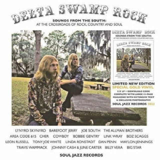 Various - Delta swamp rock (LP) - Velvet Music