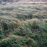Steve Gunn - Music for writers (LP)