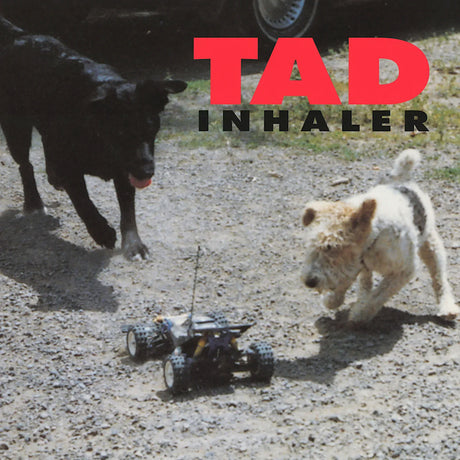 Tad - Inhaler (LP)