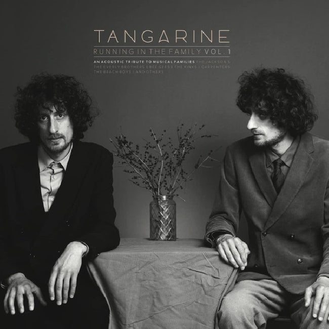 Tangarine - Running In The Family Vol. 1 (LP) - Velvet Music