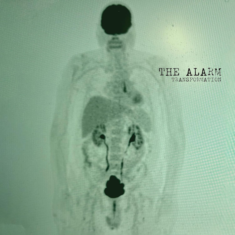 The Alarm - Transformation (CD) - Velvet Music