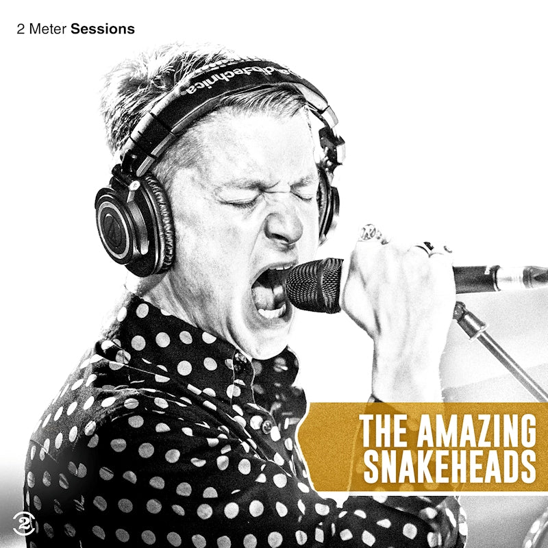 Amazing Snakeheads - 2 meter sessions (LP) - Velvet Music