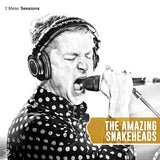 Amazing Snakeheads - 2 meter sessions (LP) - Velvet Music