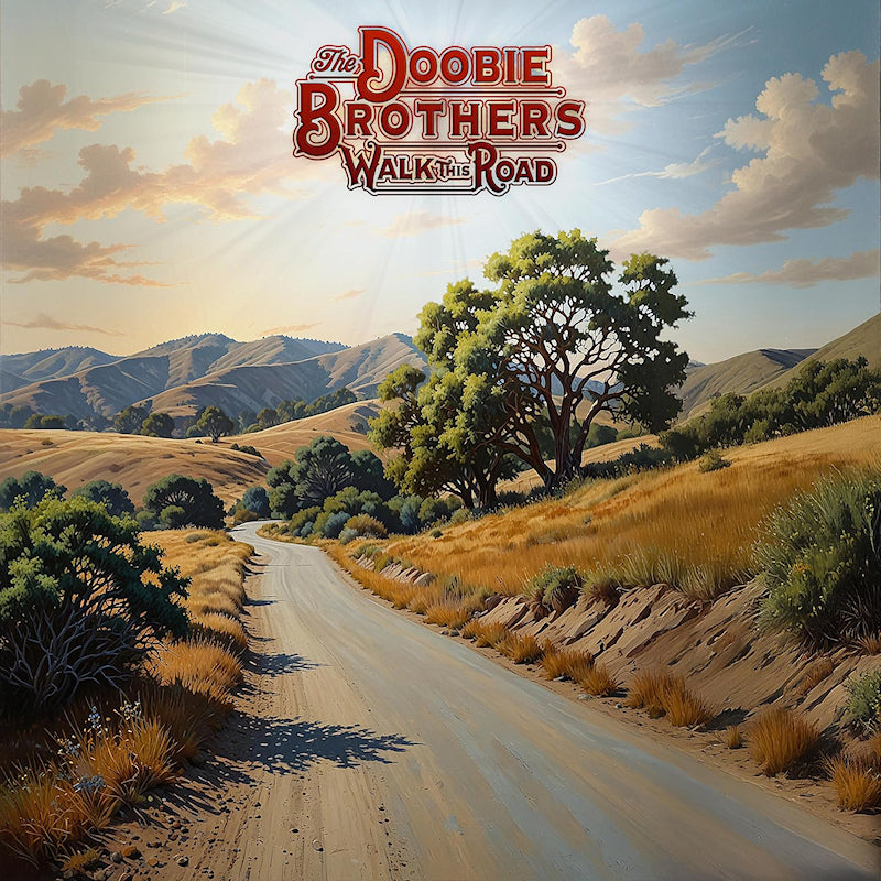 The Doobie Brothers - Walk this road (LP) - Velvet Music