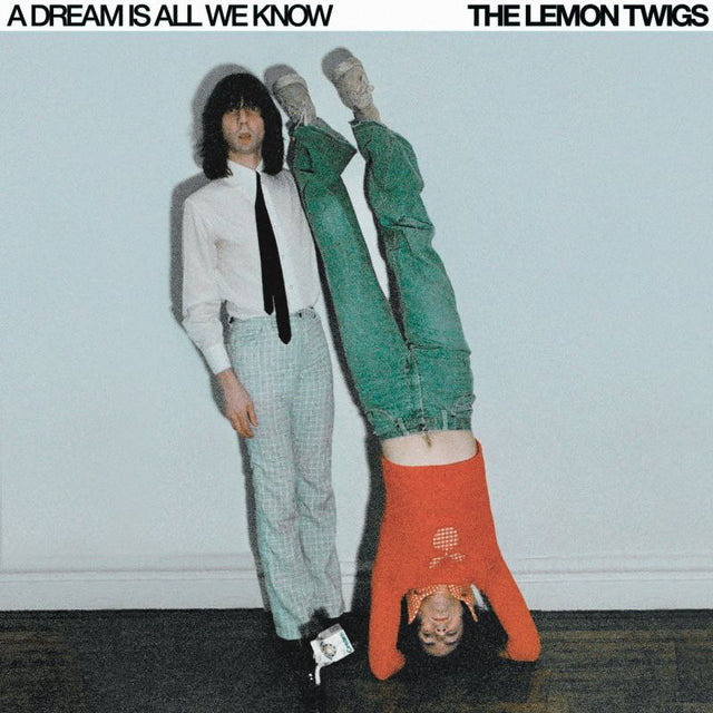 The Lemon Twigs - A dream is all we know (LP) - Velvet Music