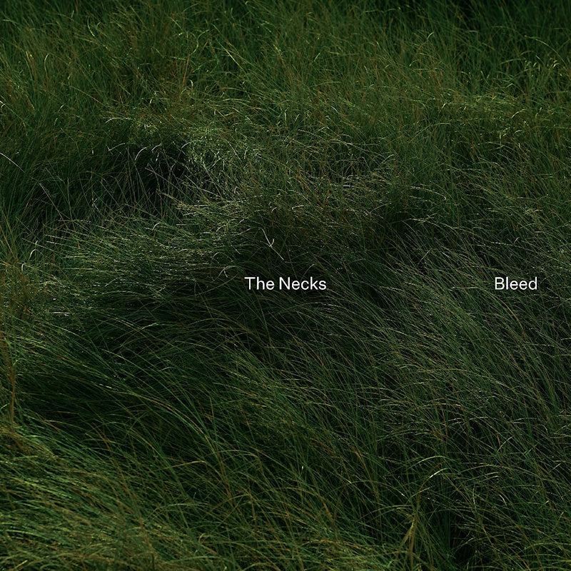 The Necks - Bleed (CD) - Velvet Music