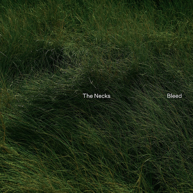 The Necks - Bleed (CD) - Velvet Music