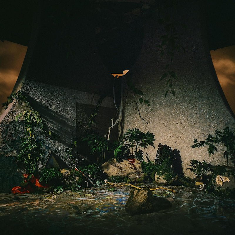 The Plot In You - The plot in you (LP)