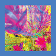Reds Pinks & Purples - The past is a garden i never fed (CD) - Velvet Music
