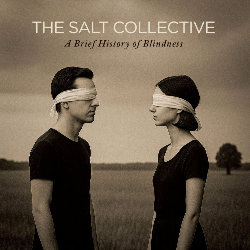 Salt Collective - A brief history of blindness (LP) - Velvet Music
