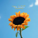The Snuts - Joy in short moments (Indie Yellow Vinyl LP) - Velvet Music