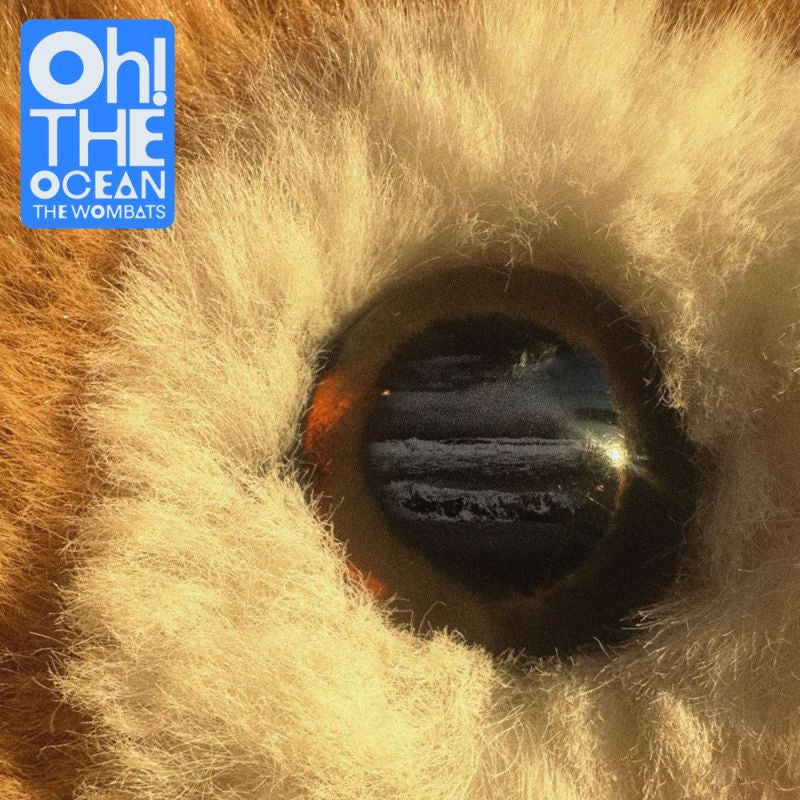The Wombats - Oh! the ocean (LP) - Velvet Music