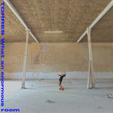 Torres - What an enormous room (LP) - Velvet Music