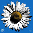 Various - Heart of gold: the songs of neil young vol.2 blue (CD) - Velvet Music