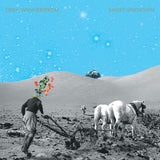 Erika Wennerstrom - Sweet unknown (LP)