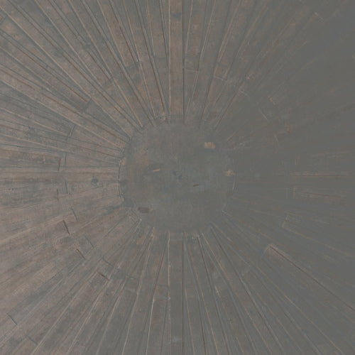 William Basinski & Lawrence English - Selva obscura (LP) - Velvet Music