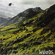 Woods - Songs of shame (LP) - Velvet Music