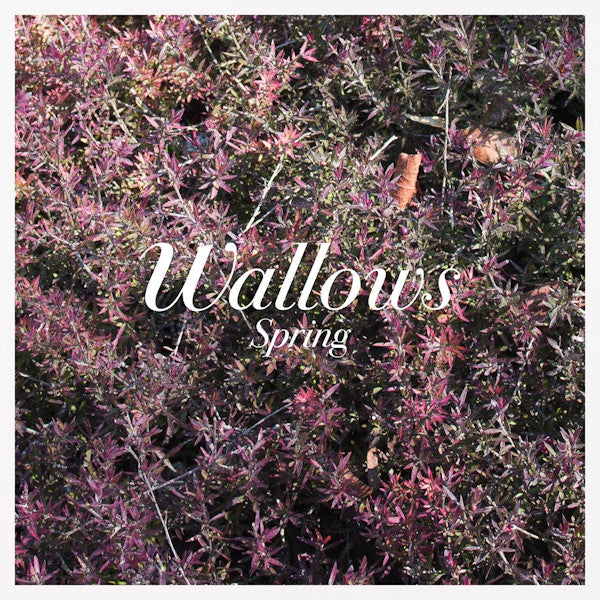 Wallows - Spring (LP) - Velvet Music
