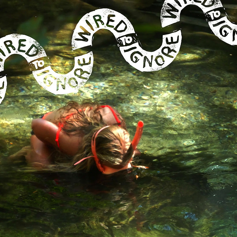 Wired To Ignore - Wired to ignore (LP) - Velvet Music
