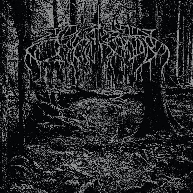 Wolves In The Throne Room - 2005 demo (LP) - Velvet Music