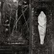 Wolves In The Throne Room - Estuary (LP) - Velvet Music