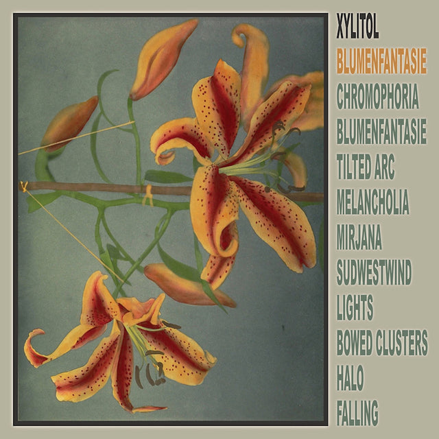 Xylitol - Blumenfantasie (LP) - Velvet Music