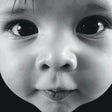 Wolf Vanwymeersch - Early years (CD) - Velvet Music