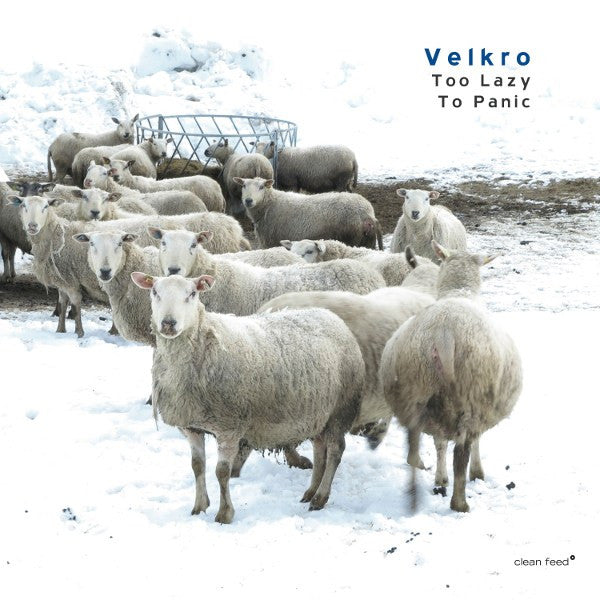 Velkro (3) - Too Lazy To Panic (tweedehands CD) - Velvet Music