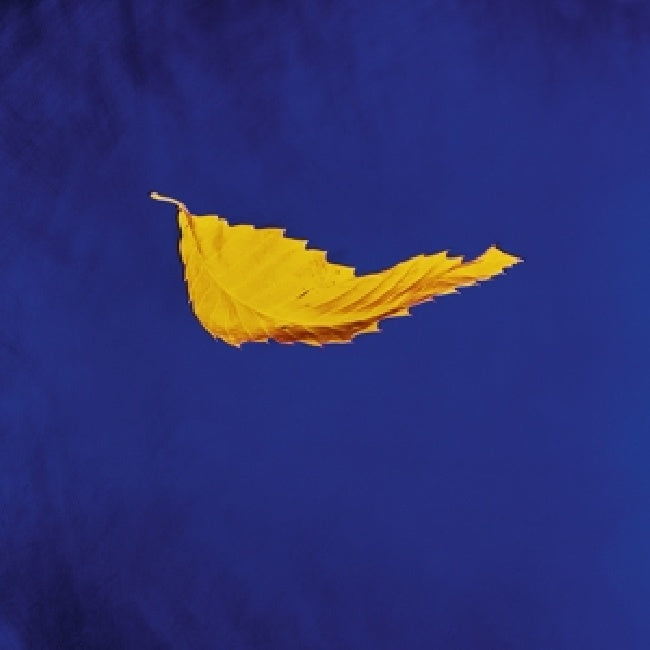 New Order - True faith (12-inch maxi single)