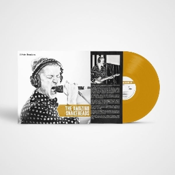 Amazing Snakeheads - 2 meter sessions (LP) - Velvet Music