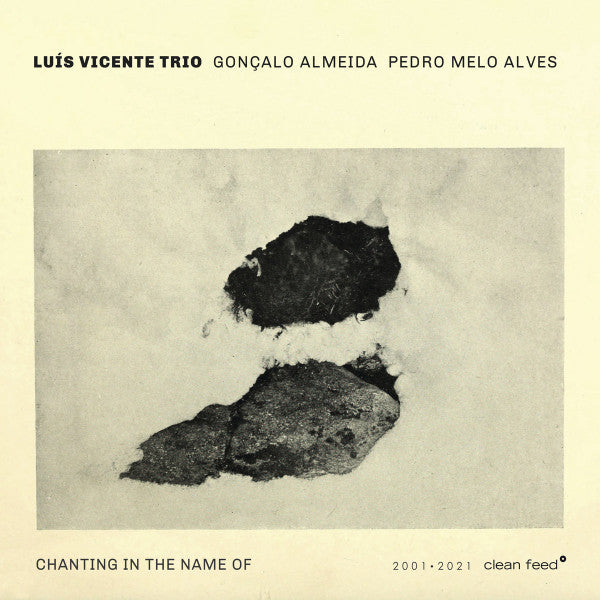 Luís Vicente Trio, Gonçalo Almeida, Pedro Melo Alves - Chanting In The Name Of (tweedehands CD) - Velvet Music