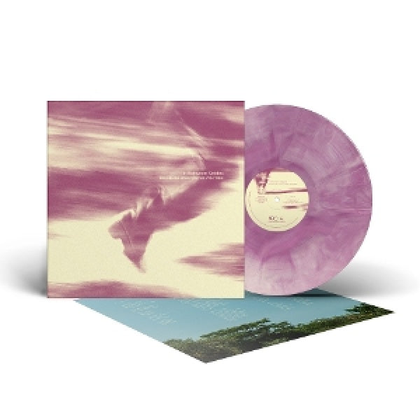 Bees Made Honey In The Vein Tree - In between strides (LP) - Velvet Music