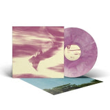 Bees Made Honey In The Vein Tree - In between strides (LP) - Velvet Music